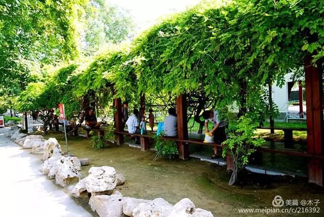 正定湿地公园骑行,骑行正定古城墙感受