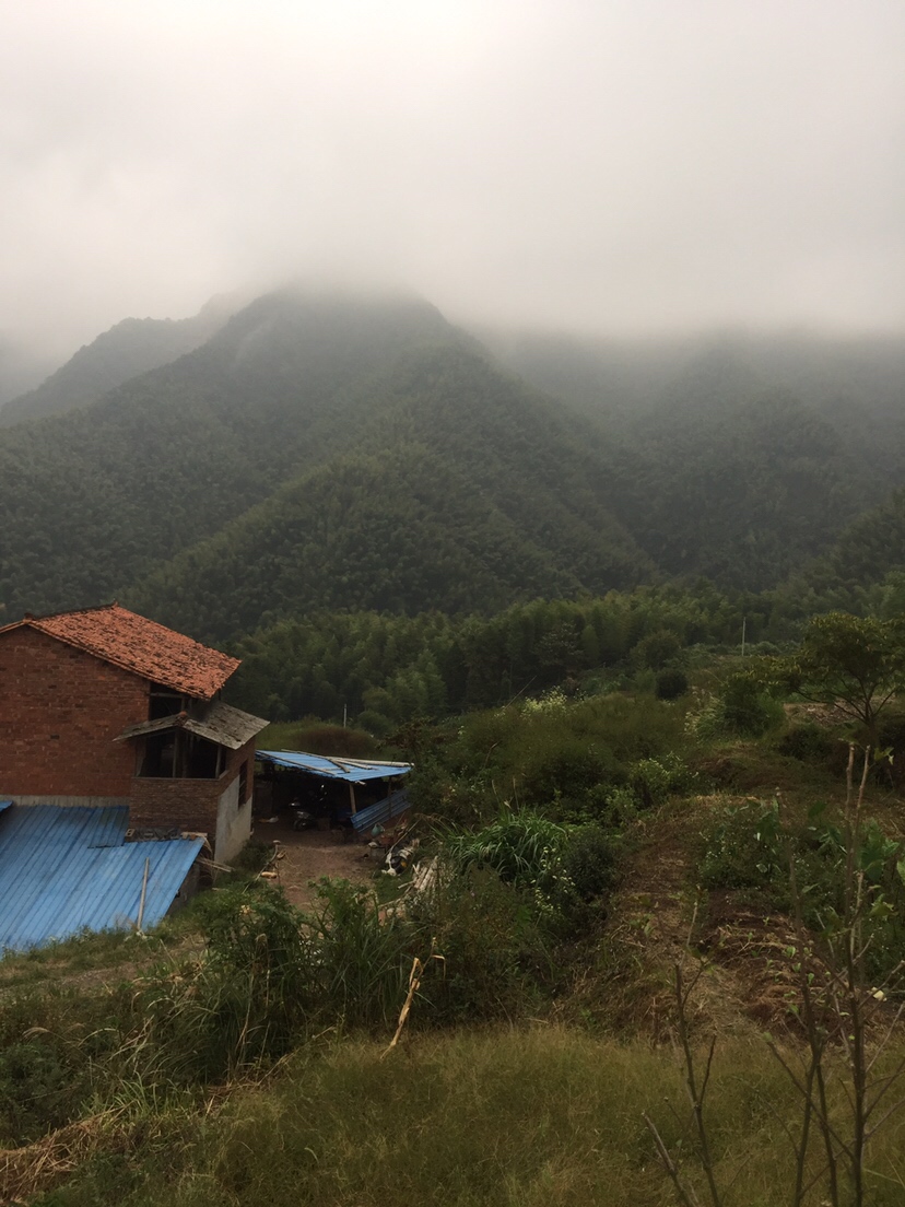 好久未发说说,好久没发过朋友圈的句子