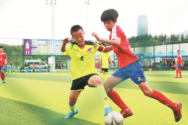 山东省足球锦标赛赛程,山东省省运会淄博足球最新名次