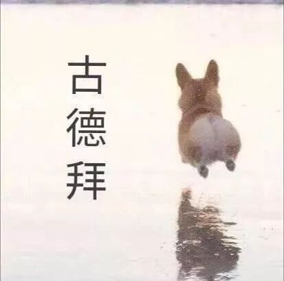 真实到没朋友的空瓶记