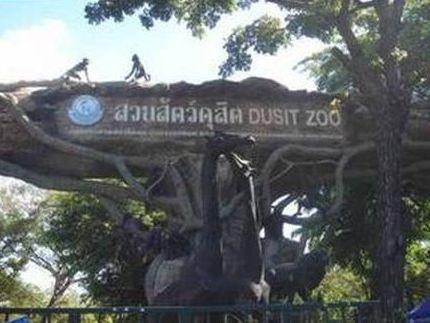 去泰国旅游一定要知道的几件事,去泰国玩必须要知道的事情