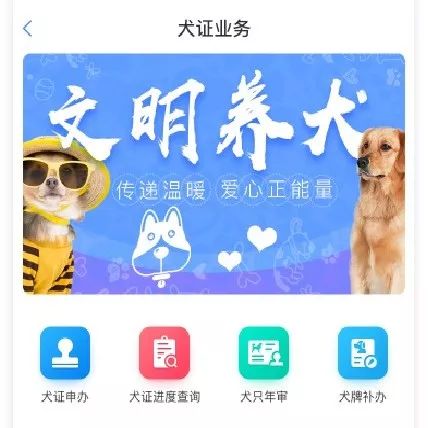 贵阳给狗狗办身份证,老狗办理电子犬证