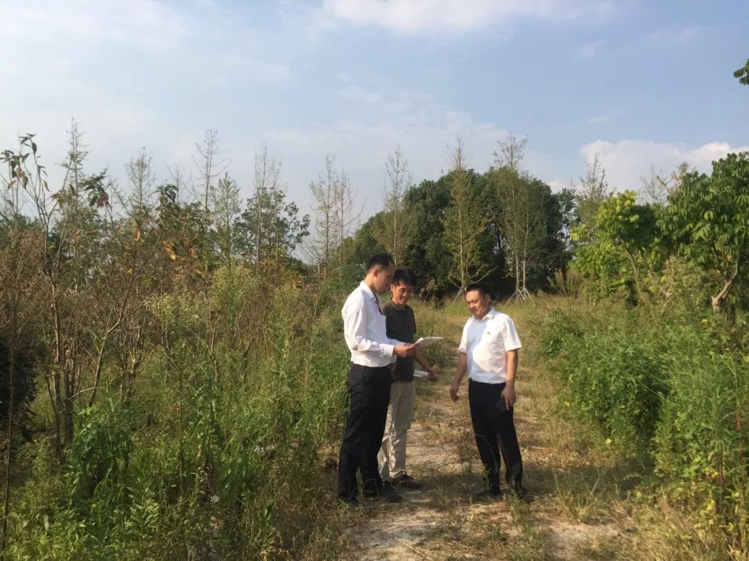 苏州高新区吴新明,吴新明专访