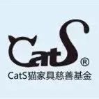 2019温暖继续！这是第七年CatS牌温暖冬屋，替猫咪们说感谢