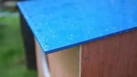 2019温暖继续！这是第七年CatS牌温暖冬屋，替猫咪们说感谢