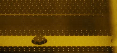 一招教你看手机屏幕,一天到晚都在看手机的结果是什么