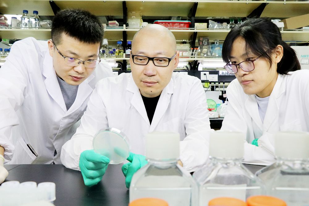 生物进化的三个基本规律,科学家通过什么推断生物进化过程