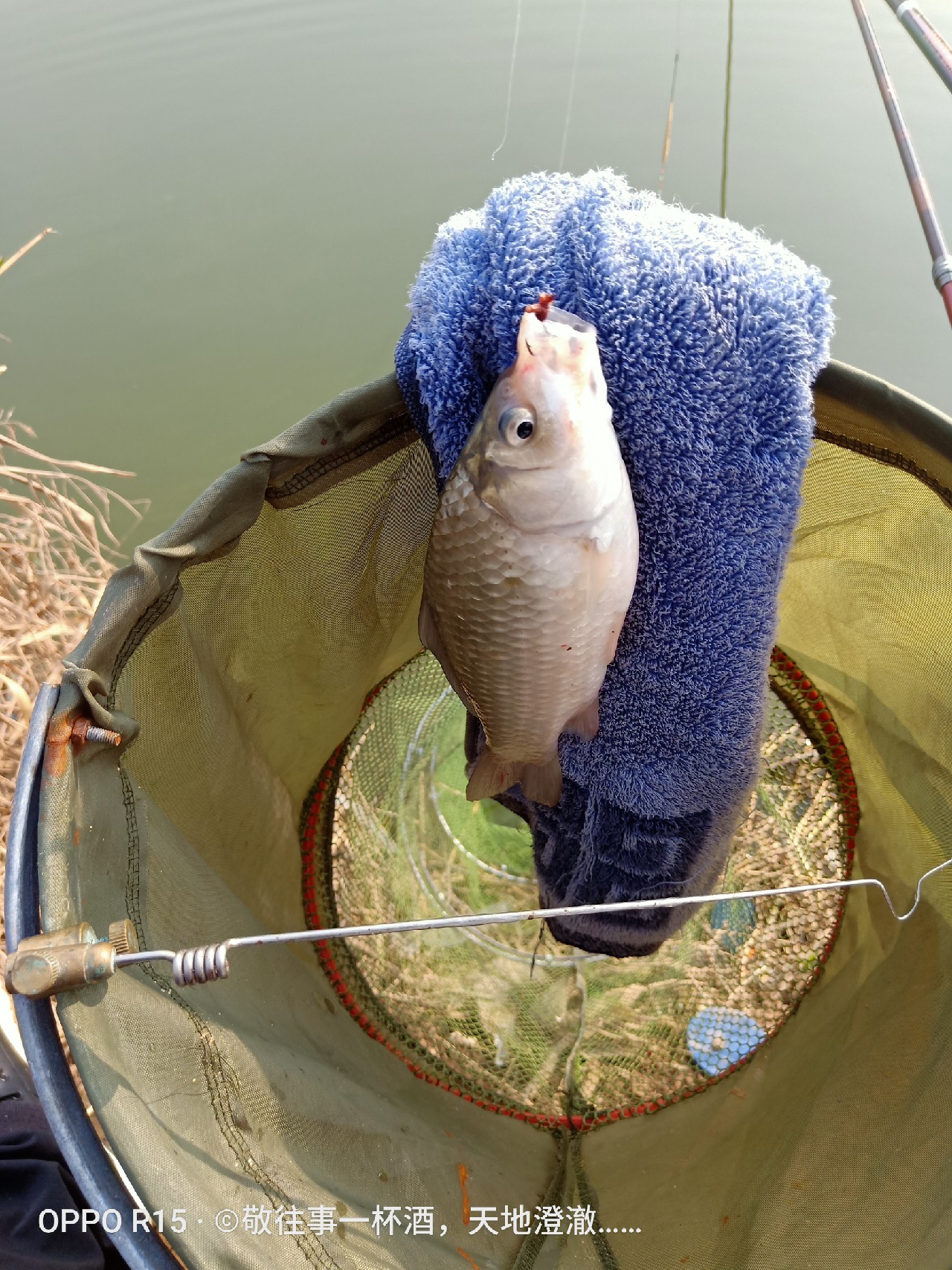 征服喝酒唱歌老三样,征服老三样片段