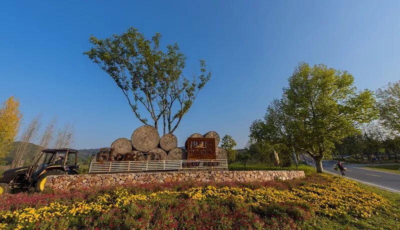 天呐！被南京这些路圈粉！