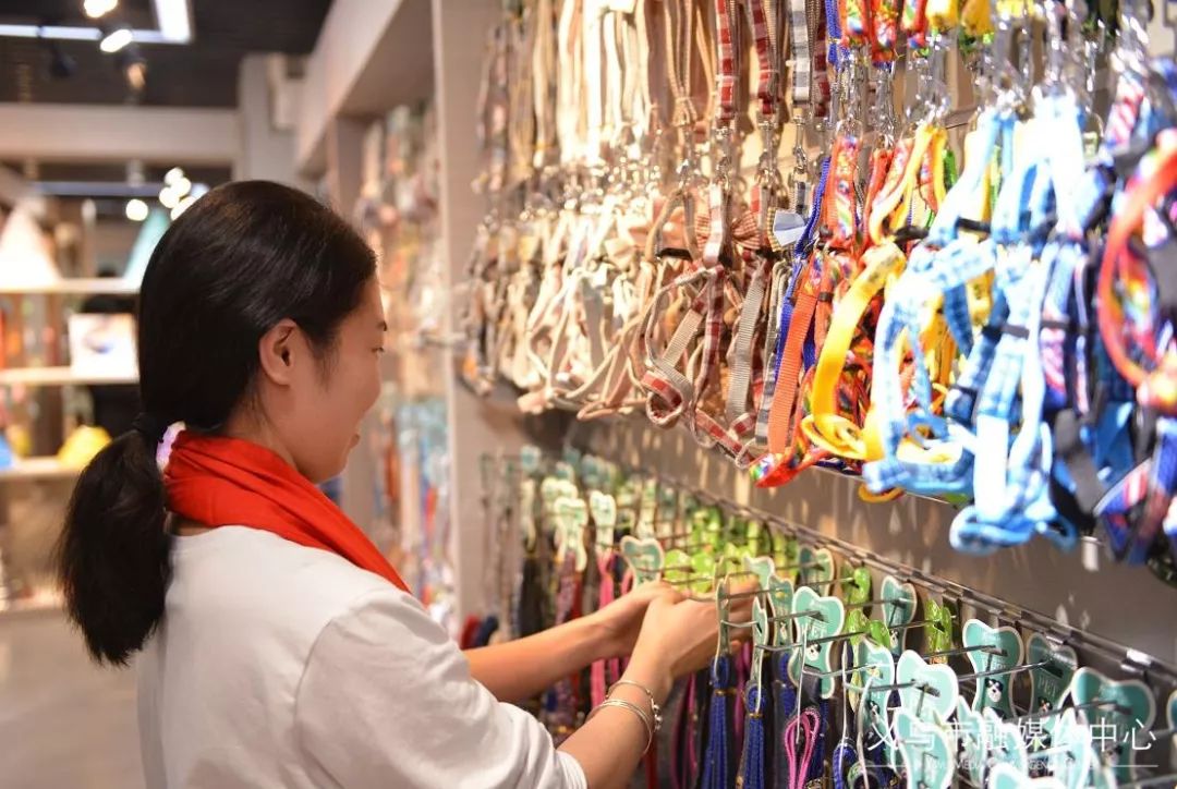 义乌哪里整体搬迁,义乌国际商贸城宠物用品批发