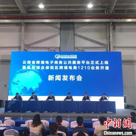 云南省跨境电子商务公共服务平台,跨境电商公共服务平台