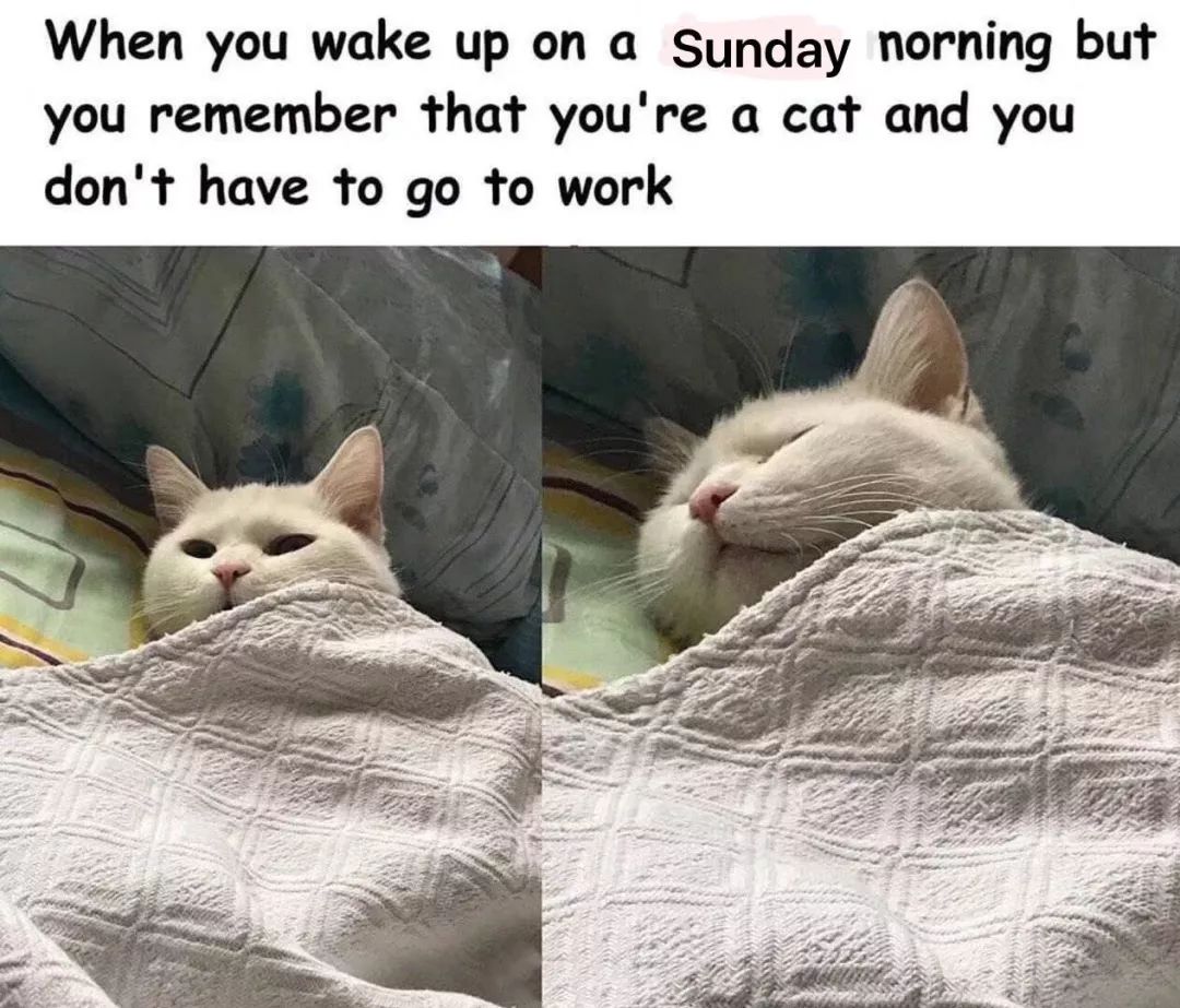 盘点消防员和小动物爆笑名场面,盘点消防员与小动物的搞笑瞬间