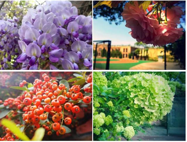 成都最有名的冷知识,成都冷知识