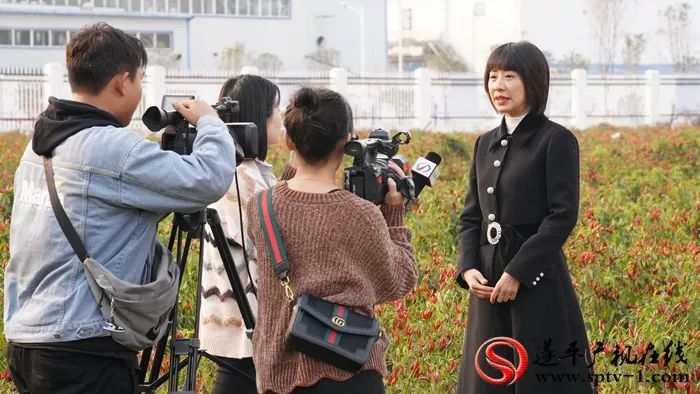 来村网创始人李敏：用心打造电商平台，不忘初心助力脱贫