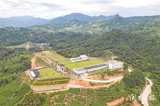 改革创新求真务实奋勇争先,福鼎项目再加力高质量发展添动能