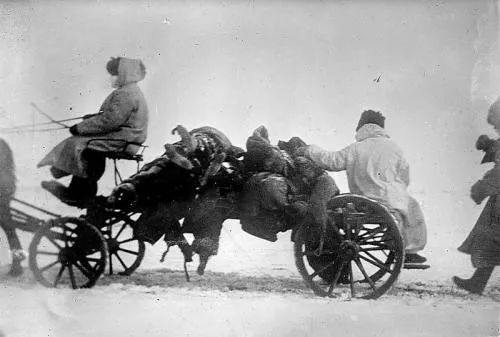 灭鼠宣传手册,鼠疫防控手册