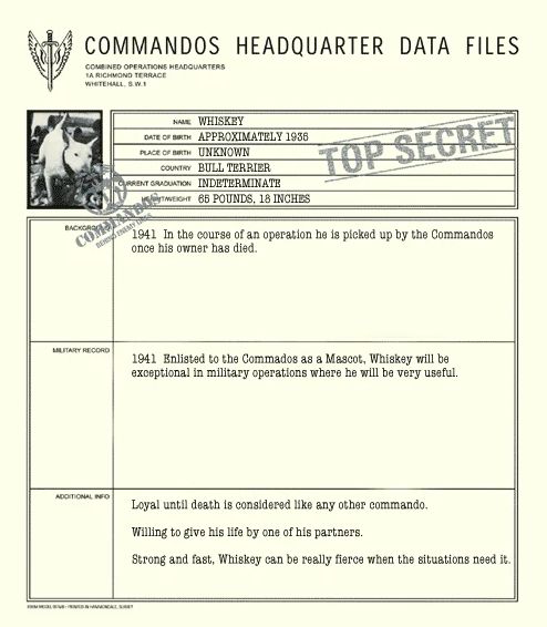 通关无双类游戏,无双通关类游戏