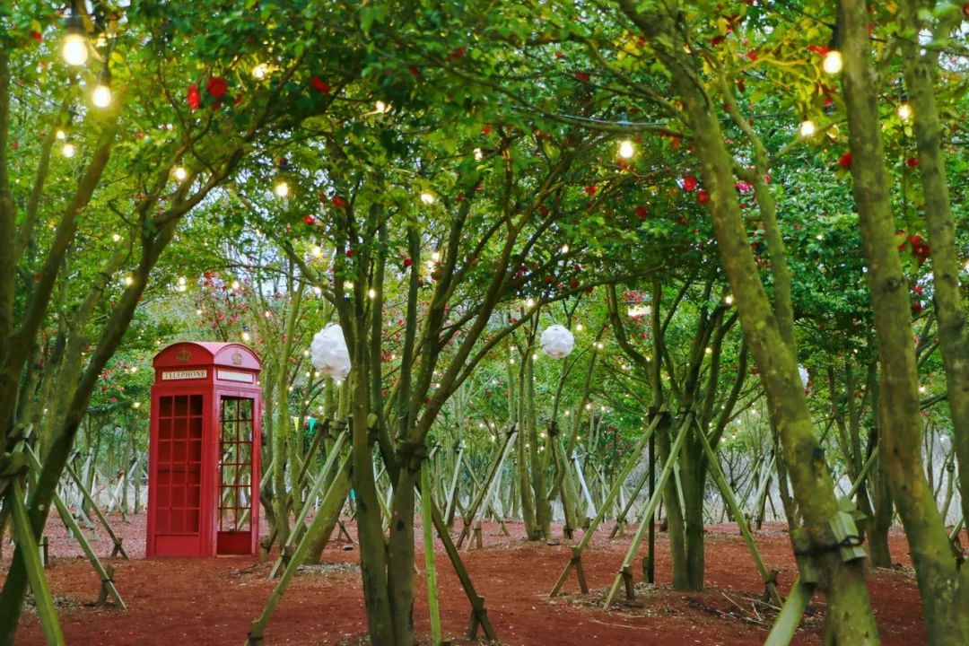 这座免签小岛，几乎出现在了每一部浪漫韩剧里