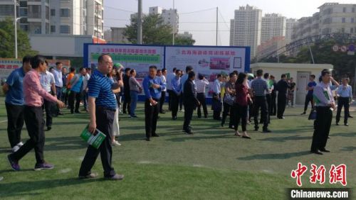 国家足球规划,中国专业足球场建设进度