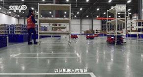 思客|今年“双十一”，快递为啥送得这么快？