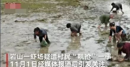 「夜读」某主播煽动粉丝恶意刷单700万，店家求饶：比利益更重的，是良知