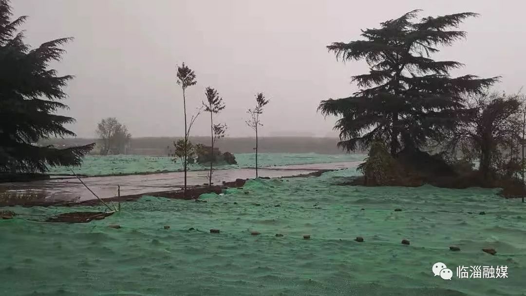 临淄经济发展现场,临淄经济社会发展