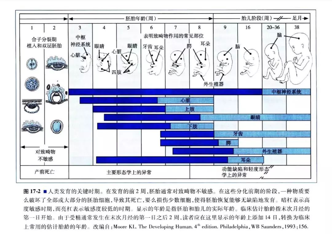 剖宫产个案护理术前准备,妊娠期非产科手术麻醉指南