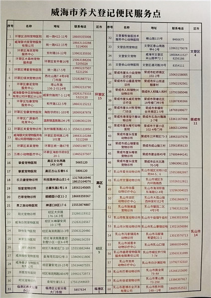 石家庄怎么办理狗狗身份证,狗狗可以办身份证吗