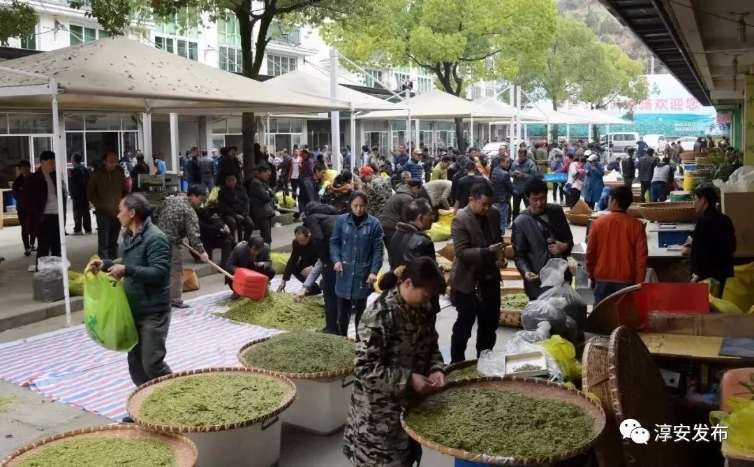 我是淳安人！美丽家乡需要你来支持（一）