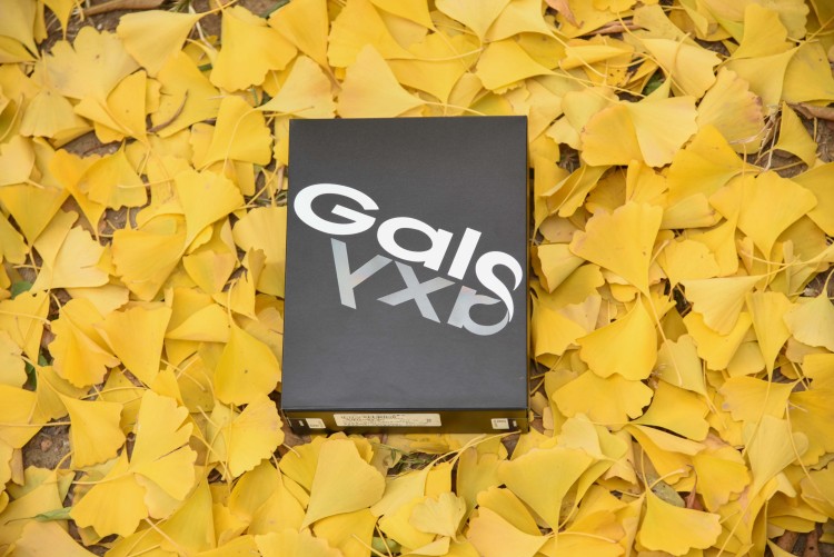 这些天，我与“折叠屏手机”朝夕相处