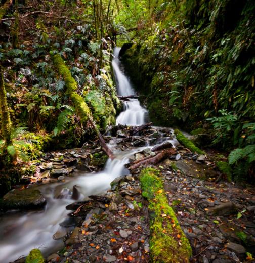 中国最有意思的十首诗,一个字标题的10首诗依然流传千古