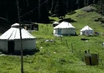 趣读丨我花三块钱买了朋友圈人设服务，然后我的人设崩了…