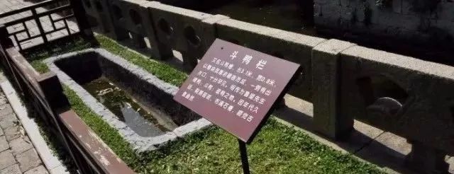 趣读丨旧时苏州人「养宠物」极简史，不只是吸猫遛狗