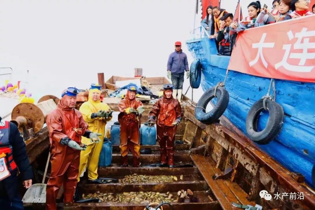 长海海参价格表,长海海参十大品牌