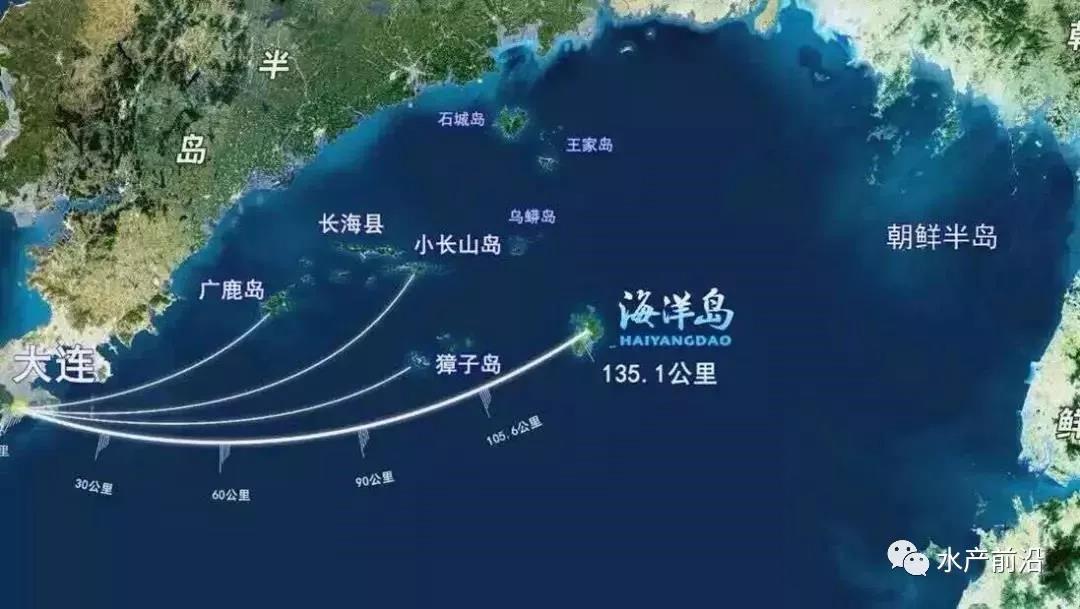 长海海参价格表,长海海参十大品牌