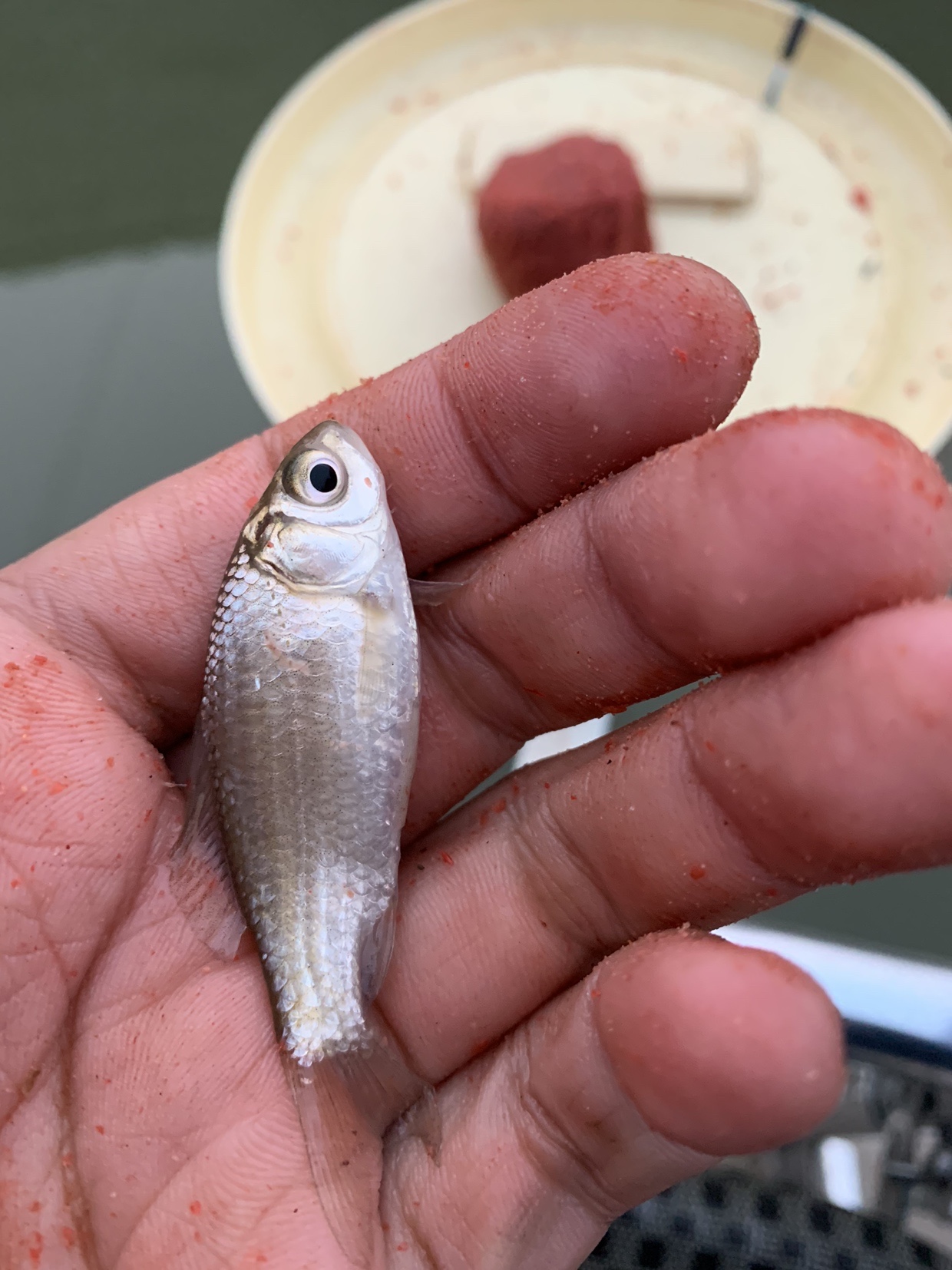 禁不住诱惑去开光，马马虎虎算成功