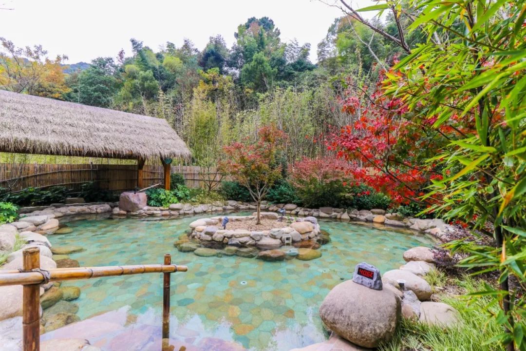 新昌安岚山居酒店,温泉入户竹林山居