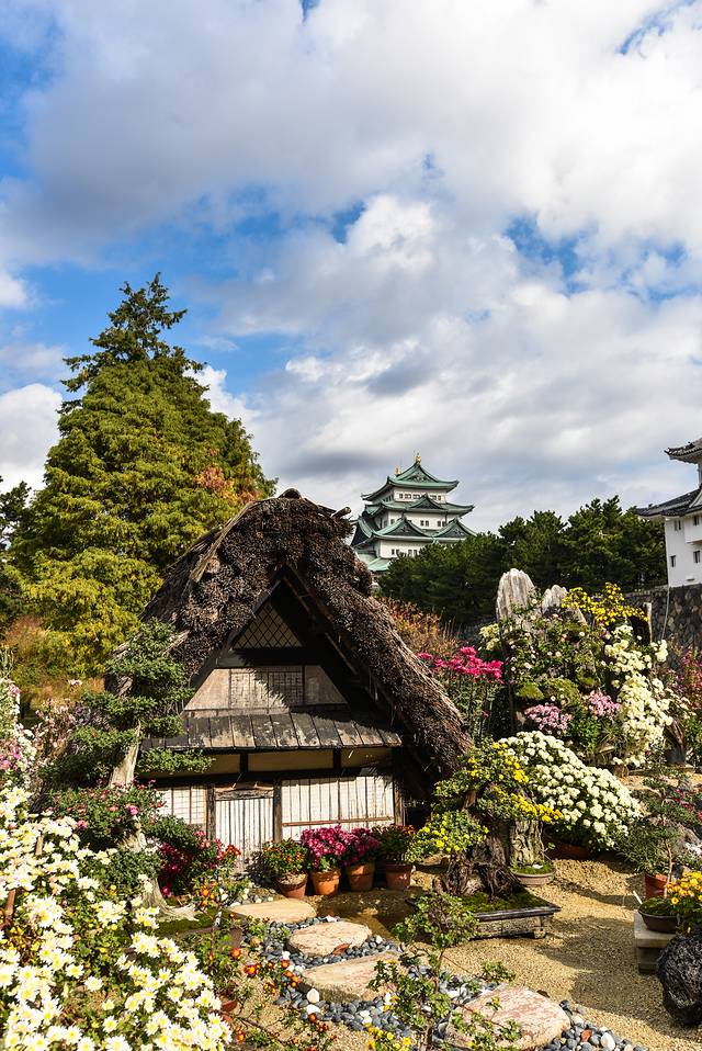 15天关西自由行,日本关东7日自由行