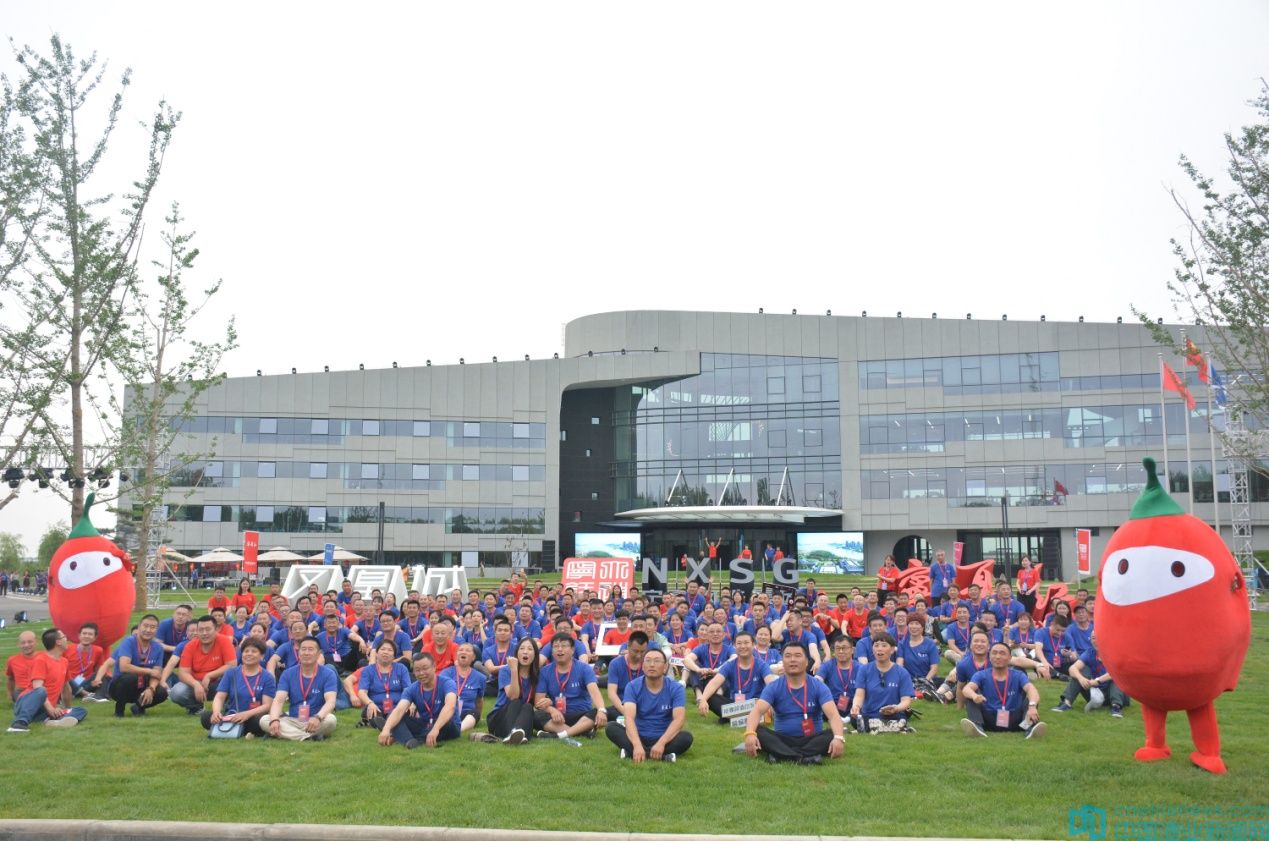 枸杞原浆品牌定位策略分析,宁夏枸杞品牌定位策略