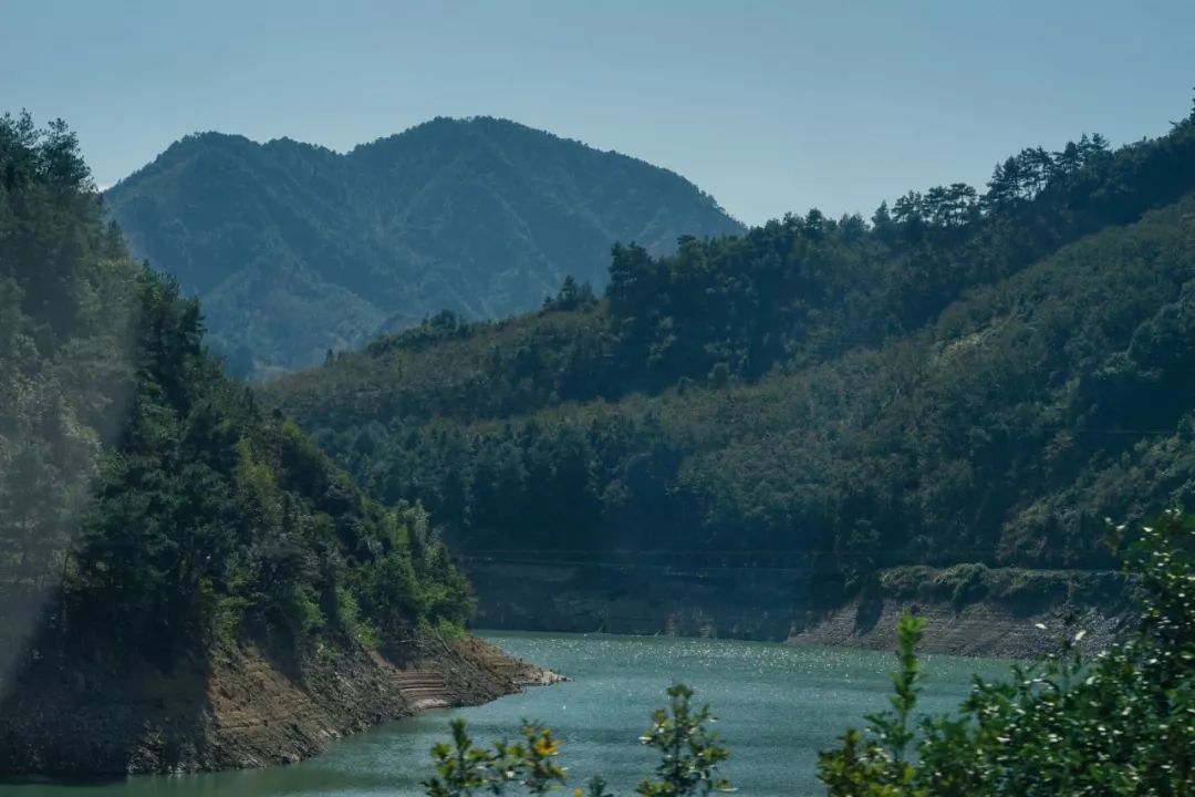 广东人连买6罐，杭州人连买12罐的杭州特产|饱记上新