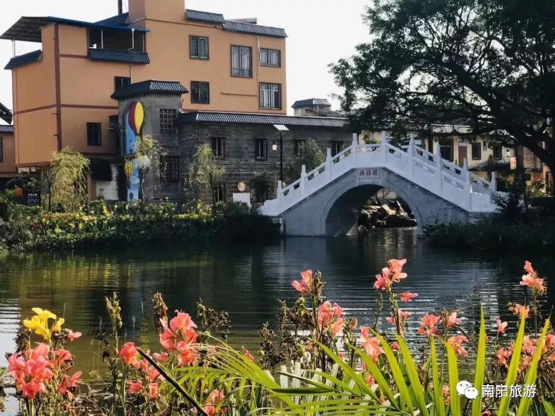 南宁有什么好玩的文旅活动 (南宁旅游美食节)