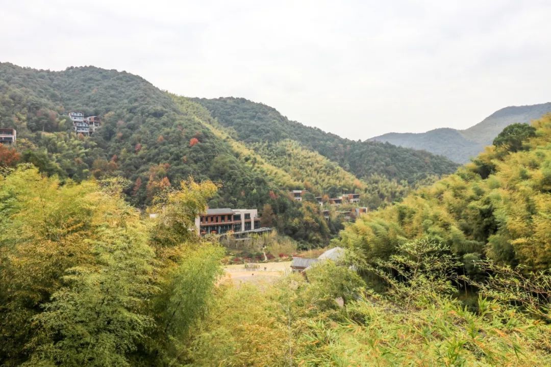 新昌安岚山居酒店,温泉入户竹林山居