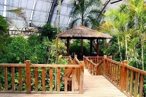 大旅行旅游天津攻略路线,天津旅游攻略一日游路线推荐