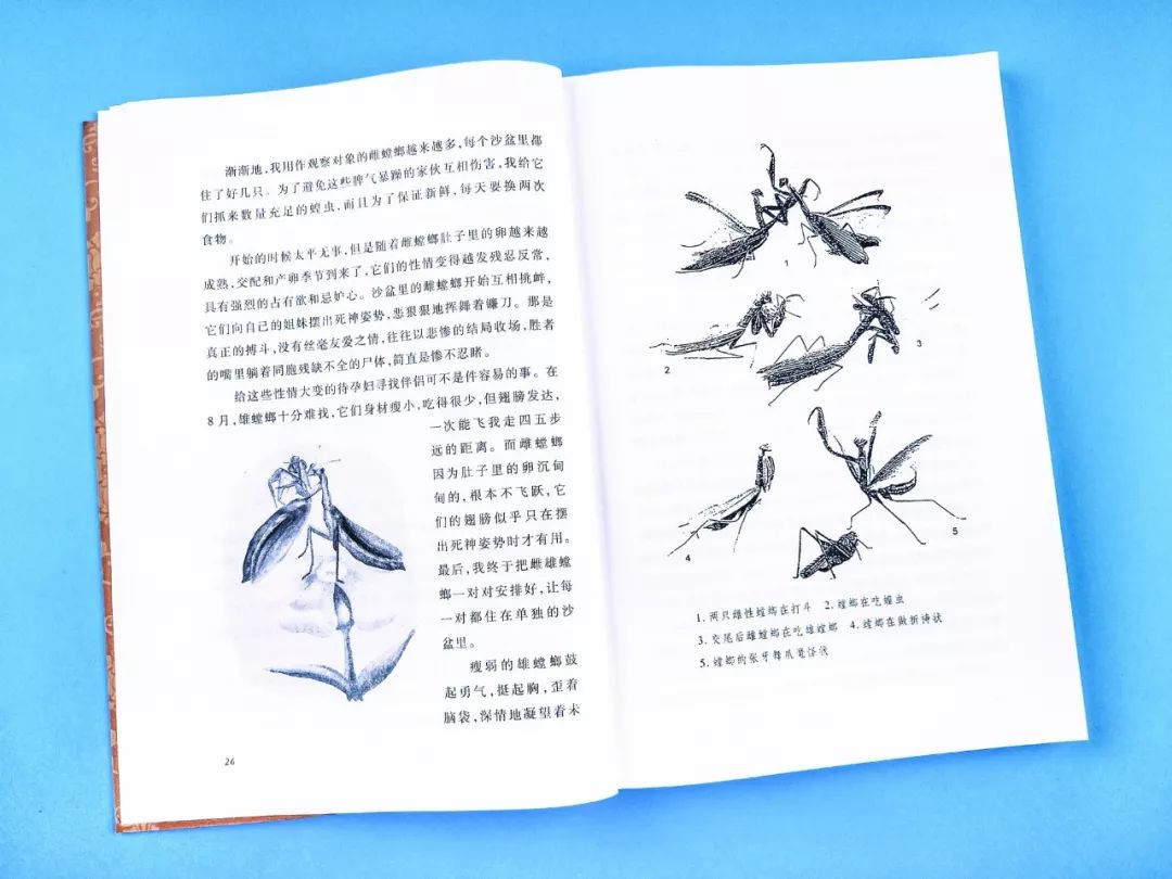 成长必读法布尔昆虫记,法布尔昆虫记书分享