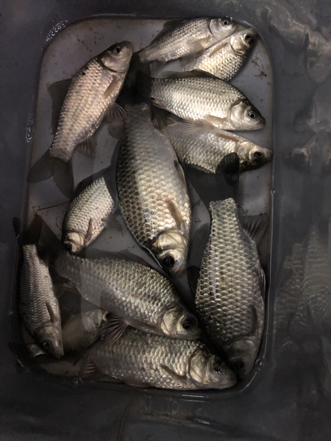 时隔一年再次出征,时隔一年再次上路