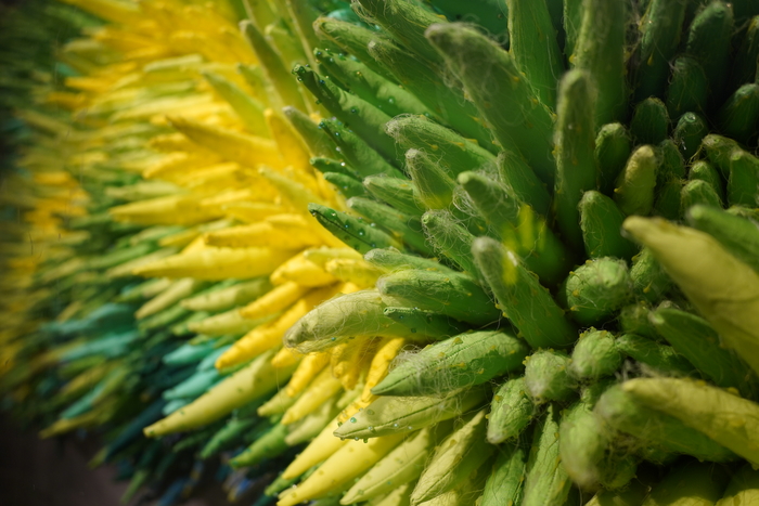 腾龙20mm和腾龙24mm,腾龙24mmf2.8镜头