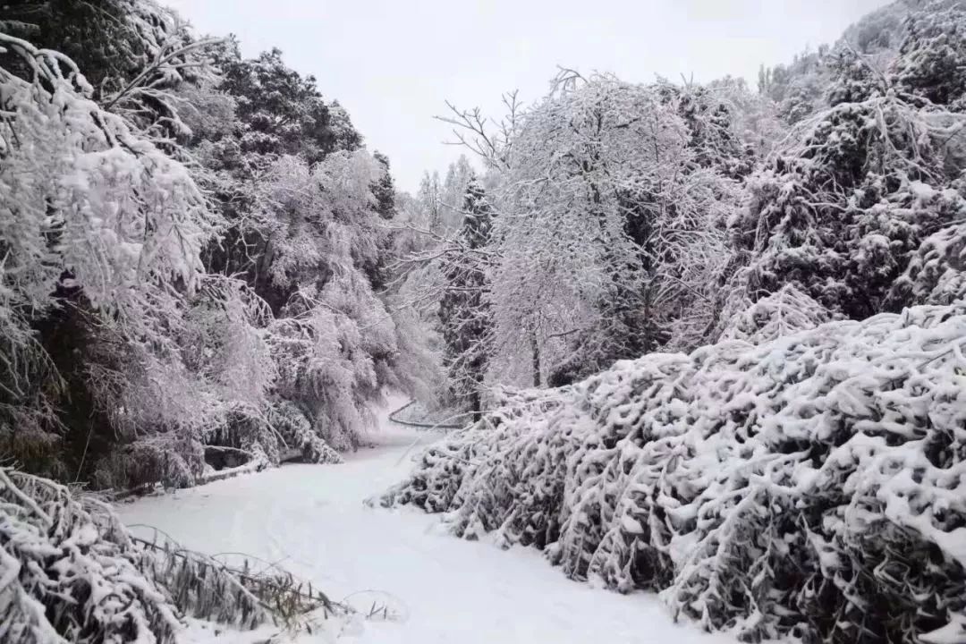 遵义冬天周边游二日游推荐,遵义冬游