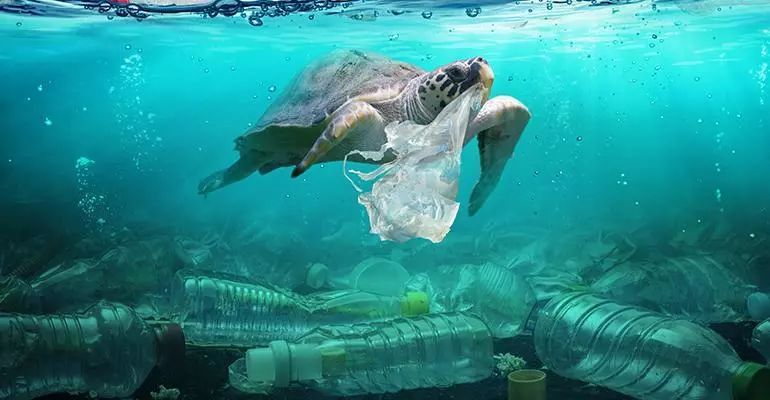 这也许是最好买的一场劲草嘉年华……