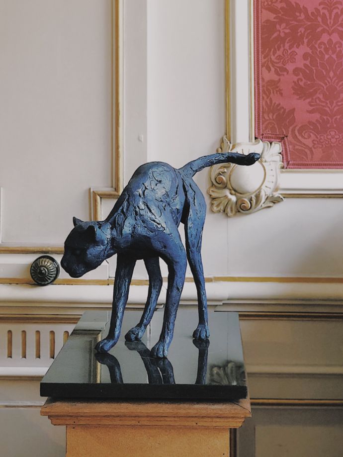 各种猫咪的博物馆,猫咪博物馆都有哪些猫