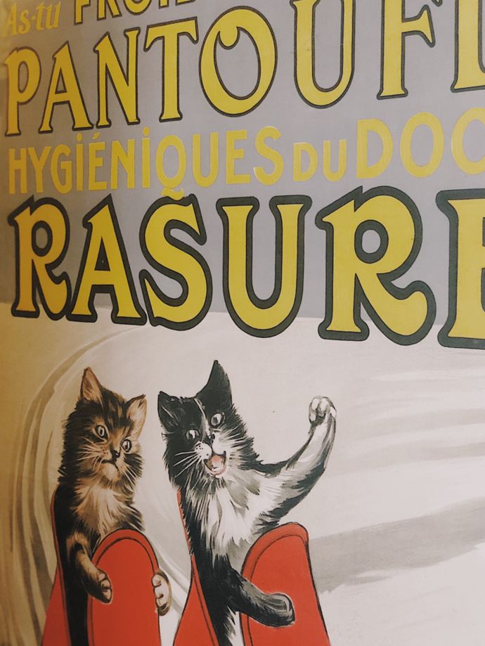 各种猫咪的博物馆,猫咪博物馆都有哪些猫